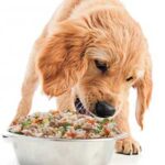 Alimento para perros