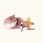 Medicamentos para Gatos