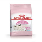 Alimento para Gatos Royal Canin Babycat 1,5 kg