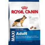 Perros Royal Canin Maxi adulto 15 kg