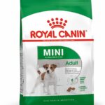 Alimento para perros Royal Canin Mini adulto 3 kg