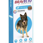 Perros Bravecto perro 20 a 40 kg